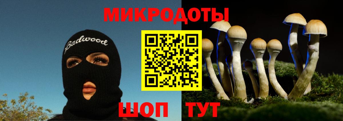 Псилоцибиновые грибы мицелий  Вход с VPN  Омск  Галлюциногенные грибы Psilocybe 
